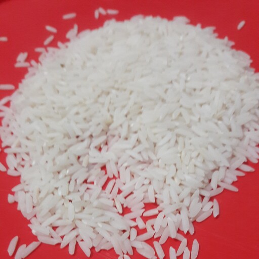 برنج هاشمی گیلان درجه یک با تضمین خرید مستقیم از کشاورز محصول 1402