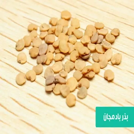 بذر بادمجان کاشتنی و خوراکی 75 گرمی 