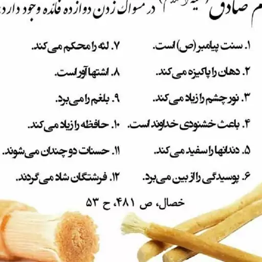 چوب مسواک یک عددی خارجی  