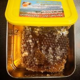 عسل درجه یک سبلان (605 گرم) اردبیل 