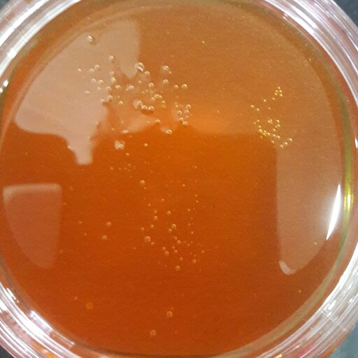 عسل طبیعی خالص بدون شکر برداشت امسال زنبور (250 گرمی)