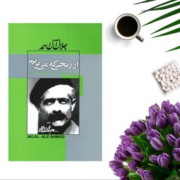 کتاب از رنجی که می بریم اثر جلال آل احمد انتشارات ژکان