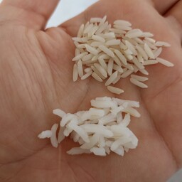 برنج هاشمی اعلا درجه 1 ده کیلویی آستانه