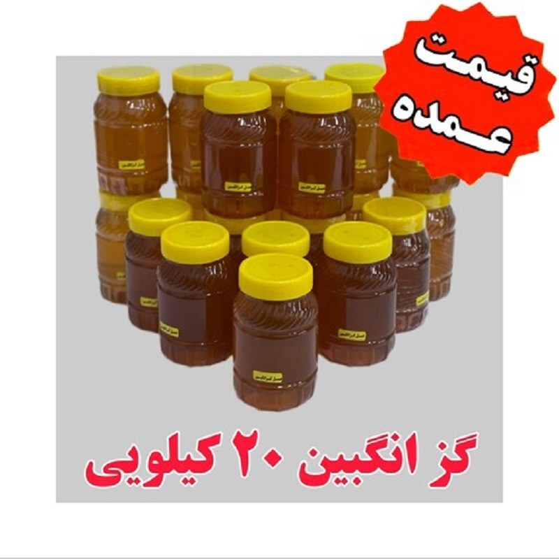 عسل گزانگبین عمده (20 کیلو در ظرف های یک کیلویی) کیلویی 249