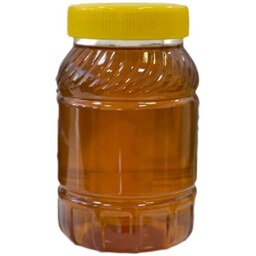 عسل درمانی گشنیز (یک کیلویی)