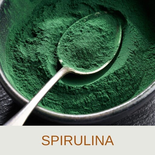 اسپیرولینا پودر جلبک بسته ی 50 گرمی خوراکی انسانی اکسیر سبز 