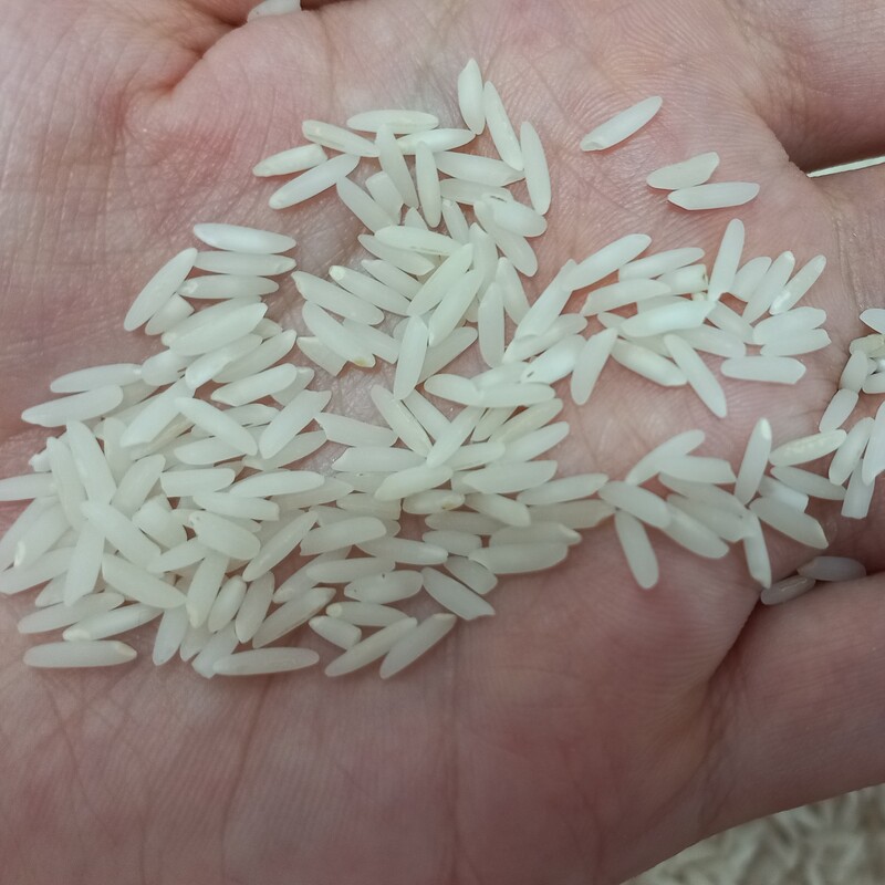 برنج طارم هاشمی معطر جویبار 10 کیلویی