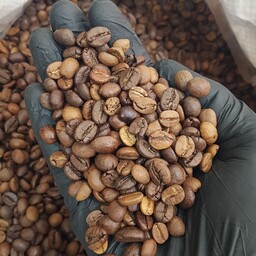 قهوه اسپرسو 70 درصد ربوستا، سوپر کرما ( دان و آسیاب شده) تازه رُست شده