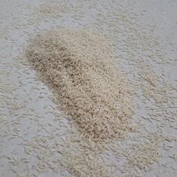 برنج ماسو (طارم هاشمی) هر کیسه 10 کیلوگرم قد برنج متوسط رنگ سفید مایل به شیره ای