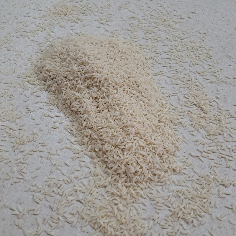 برنج ماسو ( طارم هاشمی)