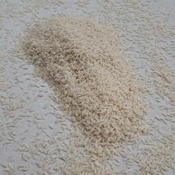 برنج ماسو ( طارم هاشمی ) 