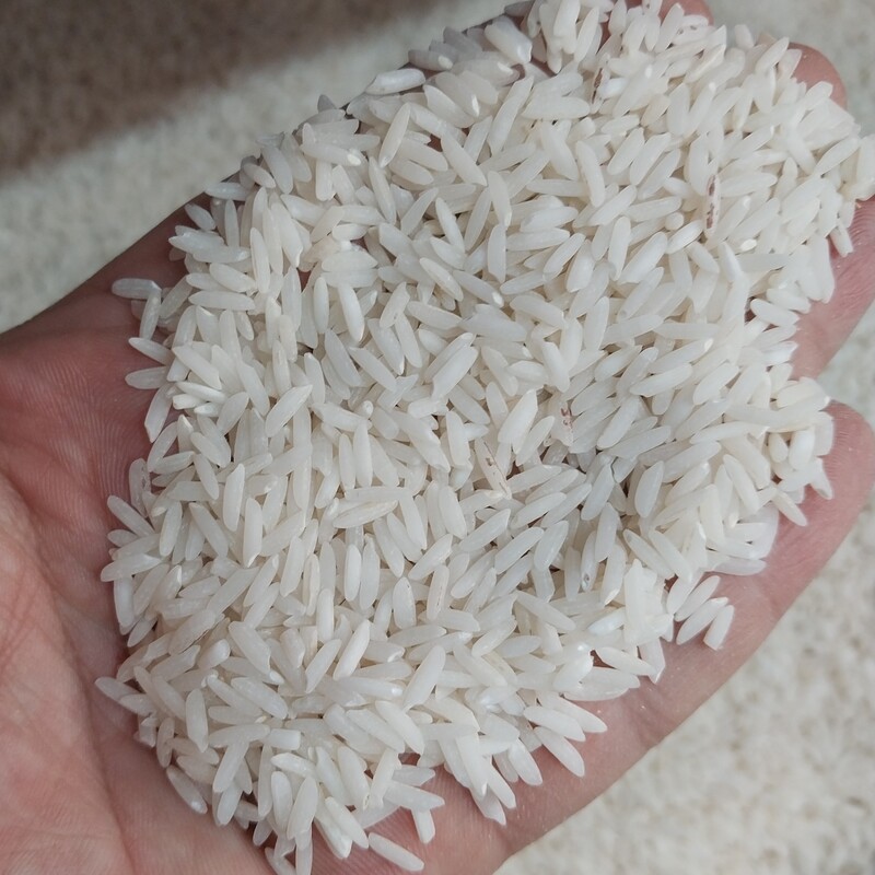 برنج صدری هاشمی ممتاز