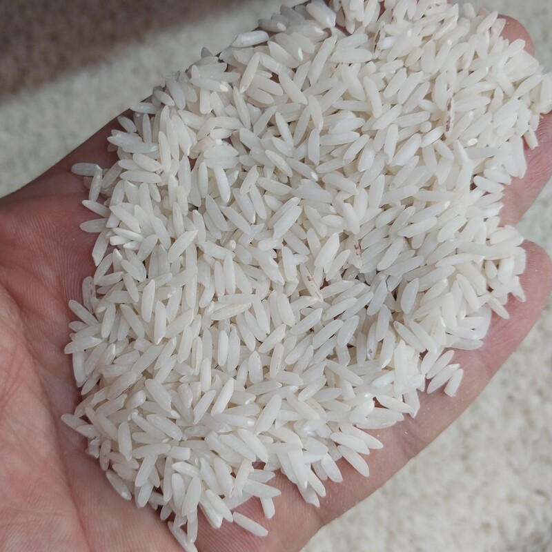 برنج صدری هاشمی فوق اعلا