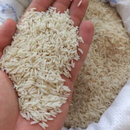 برنج معطر طارم هاشمی مازندران(10 کیلویی)