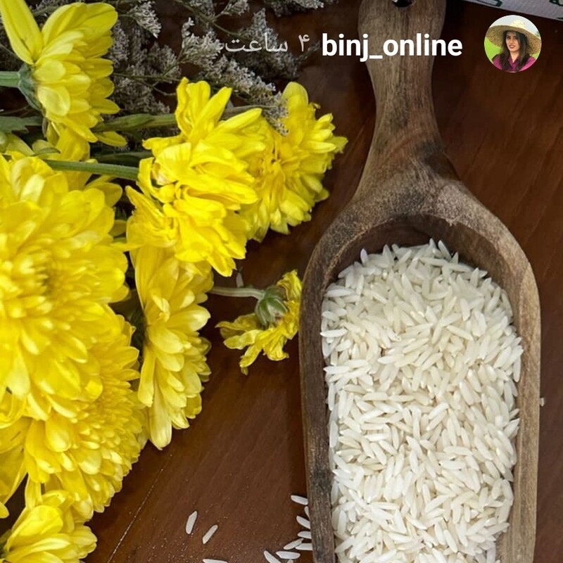 برنج کشت دوم یا دوباره کشت بهترین برنج ایرانی است، هر آنچه مصرف کننده از یک برنج درجه یک انتظار دارد میتواند باشد