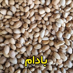 بادام درختی باغی با پوست، با مغز شیرین و درشت یک کیلویی