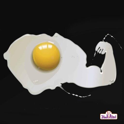 پودر سفیده تخم مرغ خالص 50 گرمی اعتماد(تخفیف شگفت انگیز)