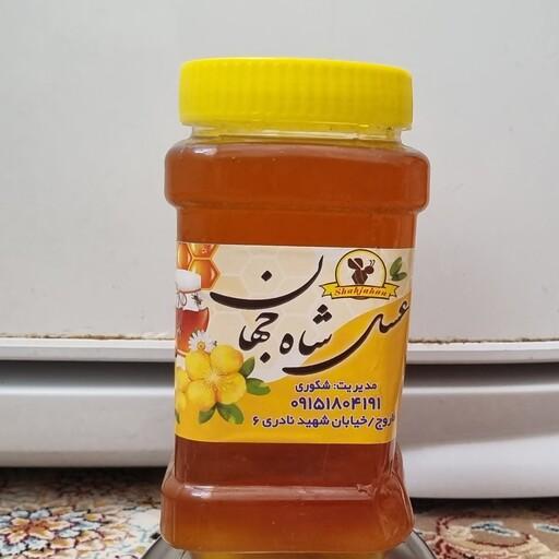 عسل طبیعی شاه جهان  محصولی از خراسان شمالی
