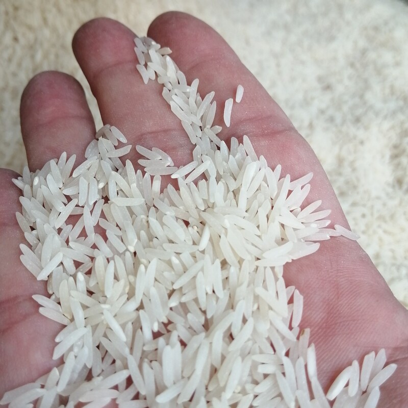 برنج فجر سوزنی  دیر رس  سورت شده   تمیز و بدون شکستگی   کیسه های 10 کیلویی  آماده ارسال. کیلویی 69 تومن