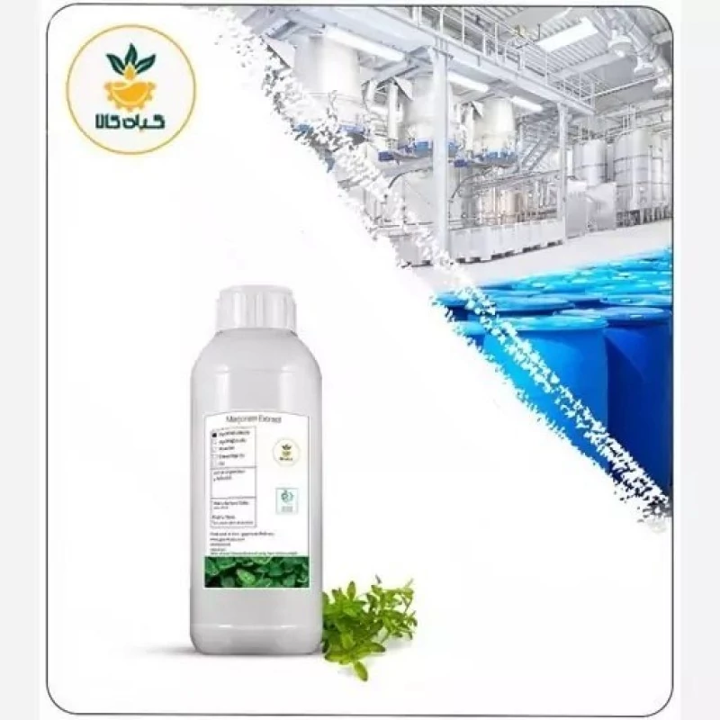 عصاره مرزنجوش مایع کیفیت خالص 1 لیتر (هیدروالکلی )گرید A+