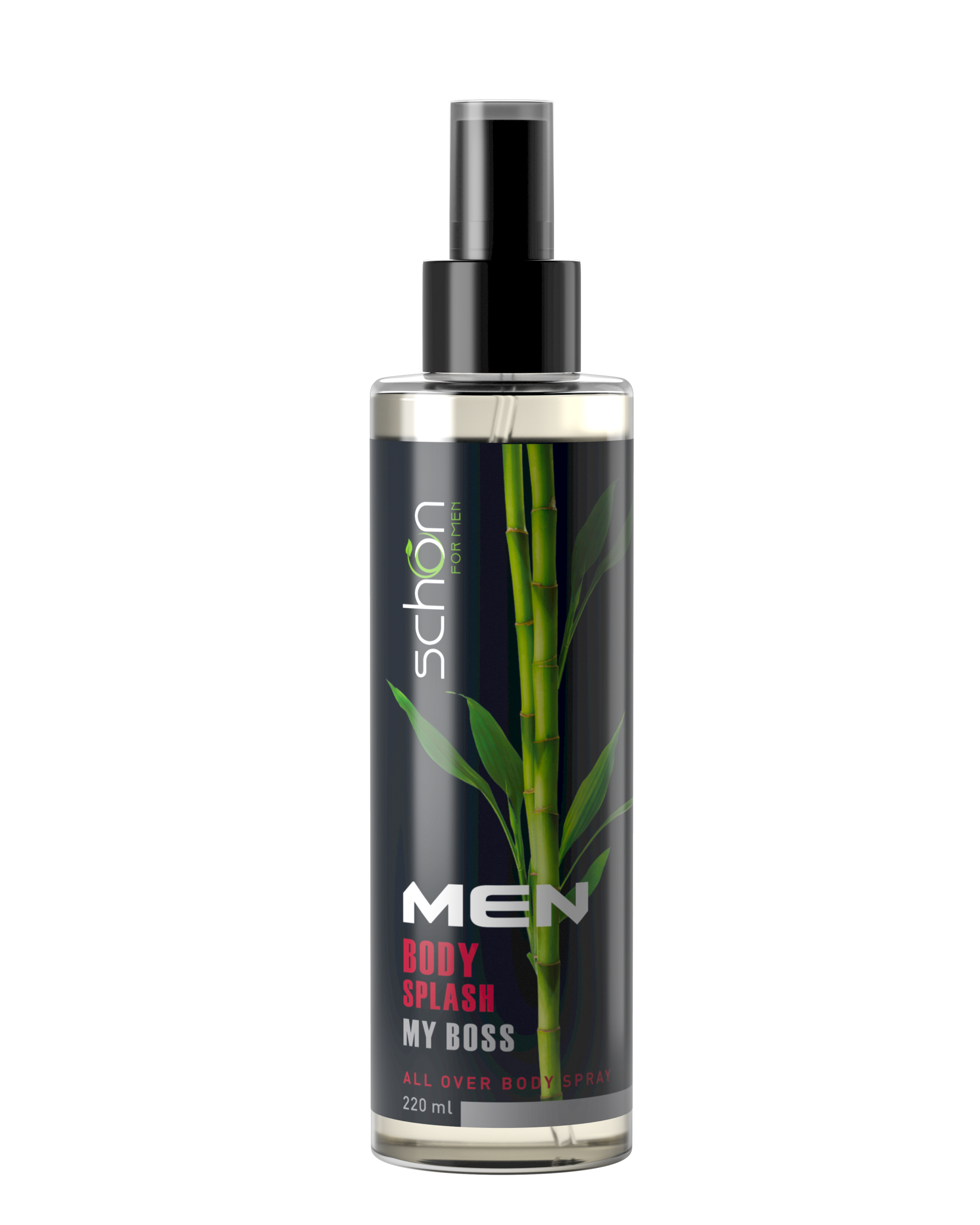 بادی اسپلش مای باس شون|Schon my boss Body Splash For men