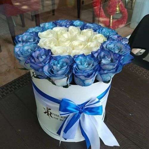 گل رز سفید ابی a1157