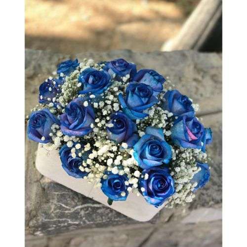گل رز آبی خرید a1126