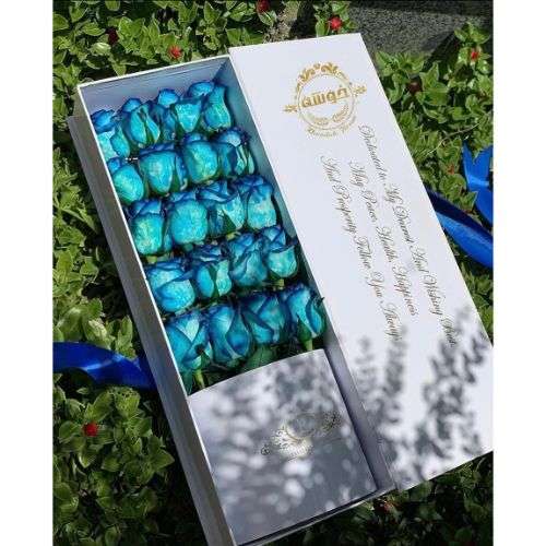 گل رز آبی هلندی a1133