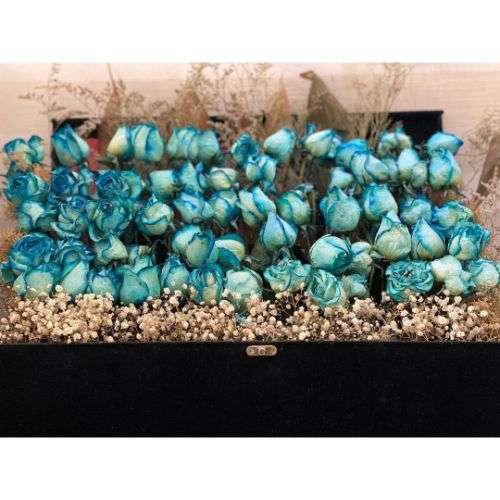 گل خواستگاری رز ابی a1125