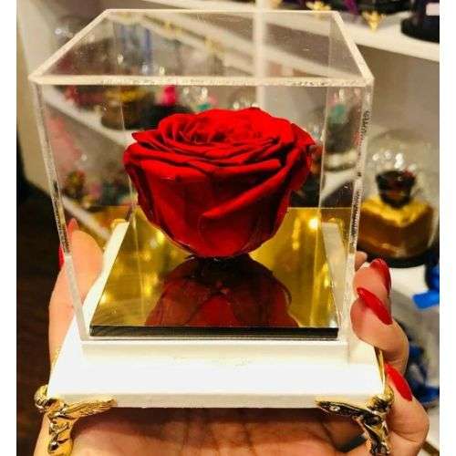 باکس گل رز شیشه ای a1037