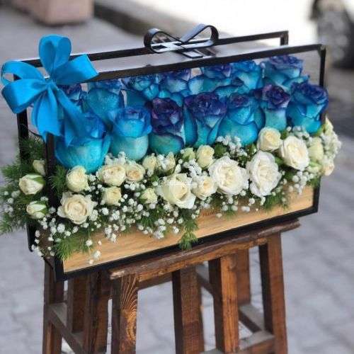 گل رز هلندی آبی a888