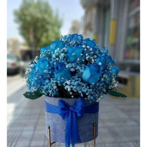 گل رز آبی در تهران a896