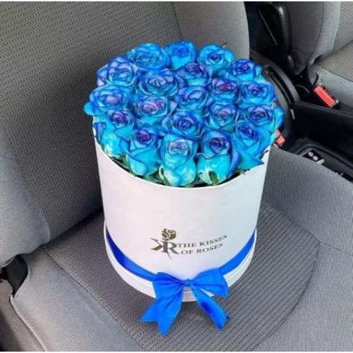 گل رز آبی a879