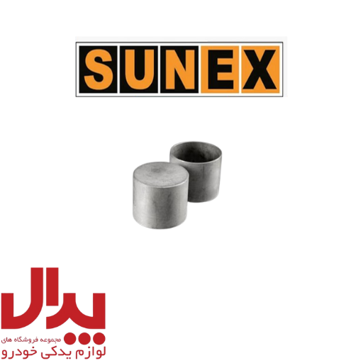 استکان تایپیت سانکس پژو 206 تیپ 5