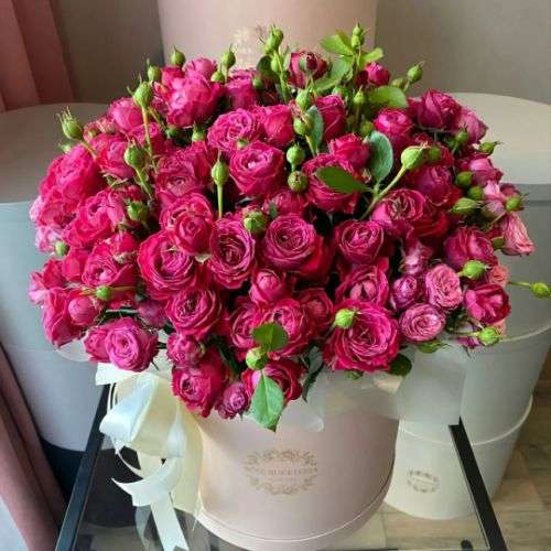 گل رز بزرگ مینیاتوری a685