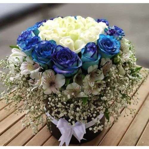 گل رز عمده سفید و آبی a670
