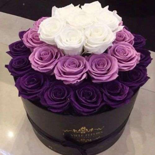 باکس گل رز بنفش a408