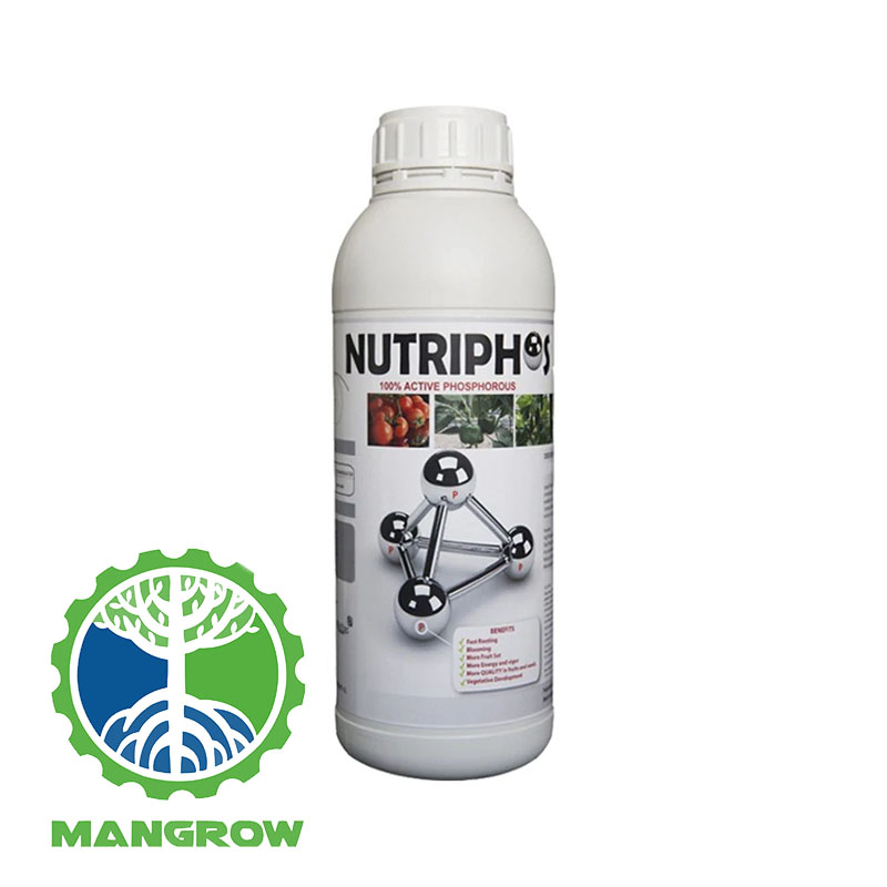کود فسفر مایع NUTRIPHOS – افزایش رشد ریشه و گلدهی