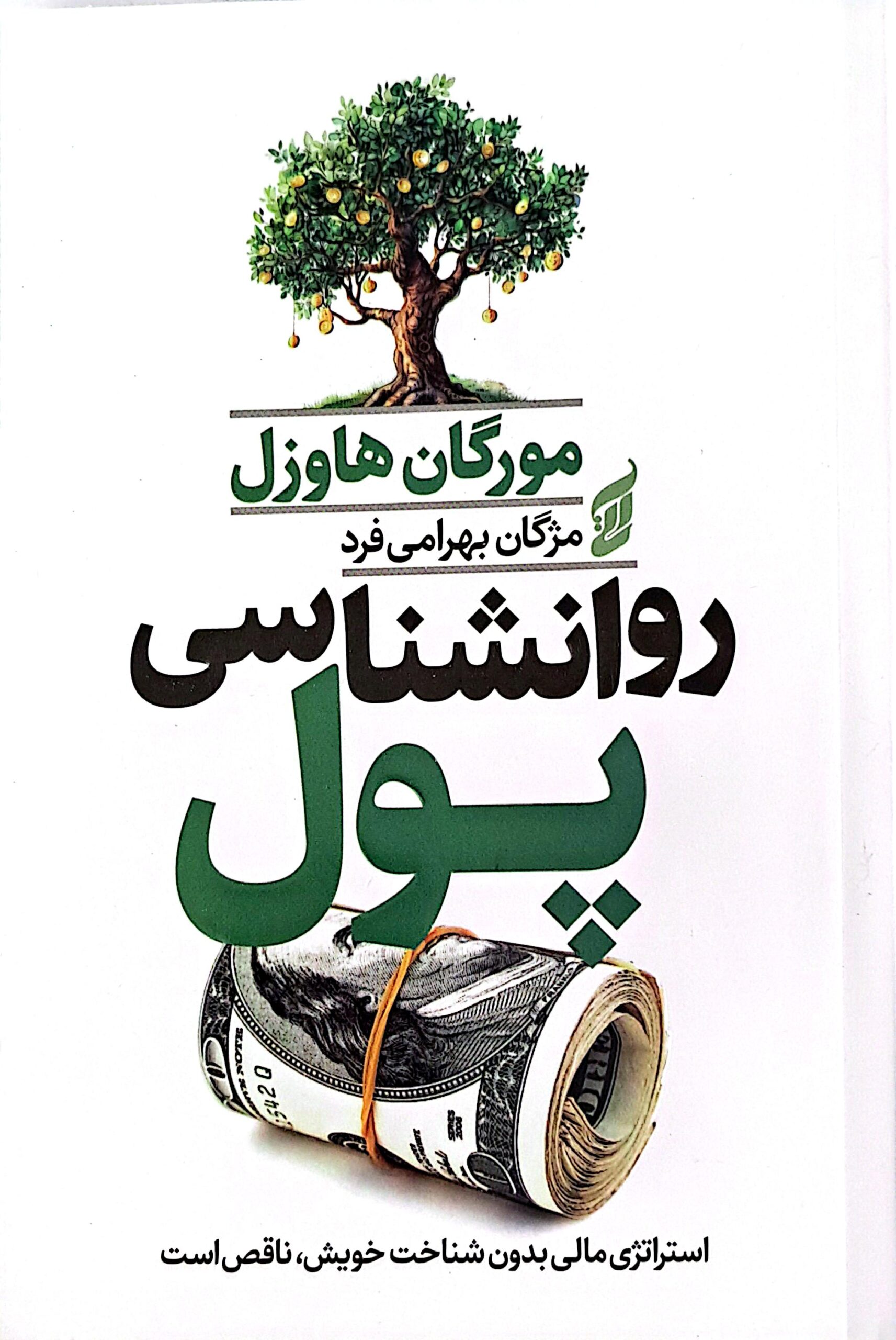کتاب روانشناسی پول
