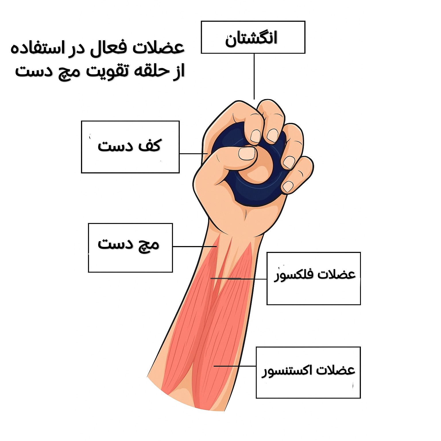 حلقه تقویت مچ دست VK مدل 1100