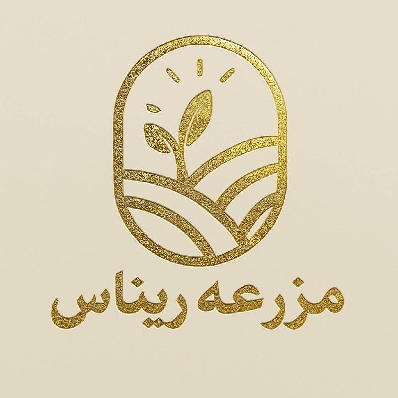 ریناس
