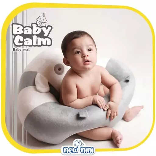 مبل کمک آموزشی نشستن کودک  BABY CALM