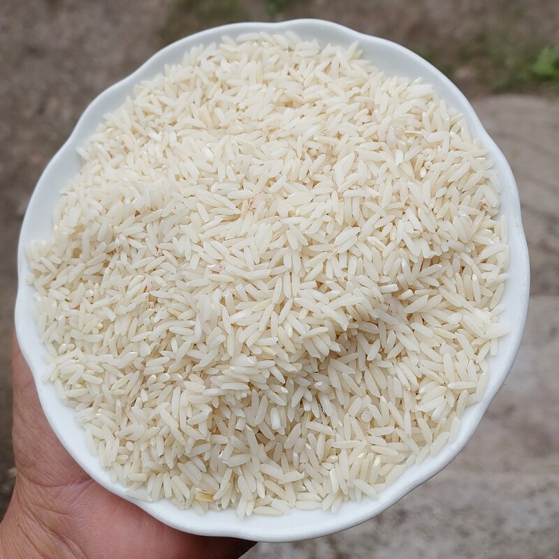 برنج هاشمی با کیفیت عالی آستانه اشرفیه تخفیف خوب به خریدار بالای 10 کیلو داده میشه