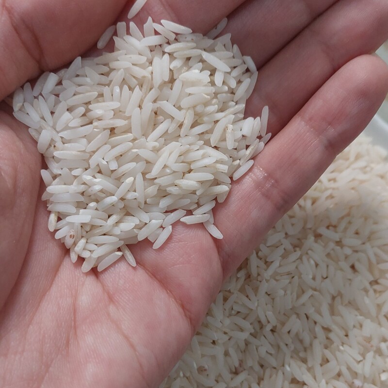 برنج هاشمی با کیفیت عالی آستانه اشرفیه تخفیف خوب به خریدار بالای 10 کیلو داده میشه