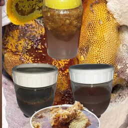 عسل قرمز عسل سیاه عسل زرد ترکیبی 200 200 500 گرم وحشی کوهی پیشنهاد ویژه