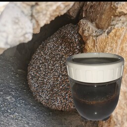عسل سیاه وحشی دویست گرمی صخره کوه 