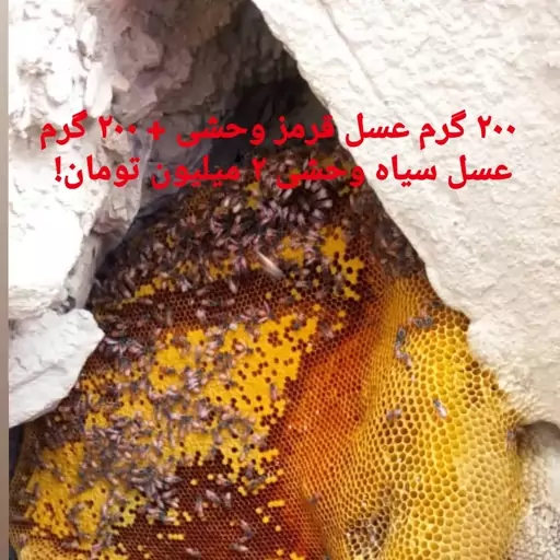 200 گرم عسل سیاه و 200 گرم عسل قرمز صخره وحشی