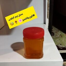 عسل طبیعی گرین نیم کیلو(خریدبدون واسطه اززنبوردار) 