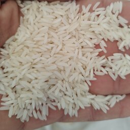 برنج طارم محلی فریدونکنار(طارم سنگی) مستقیم از تولید کننده 10 کیلویی دو بوجاره