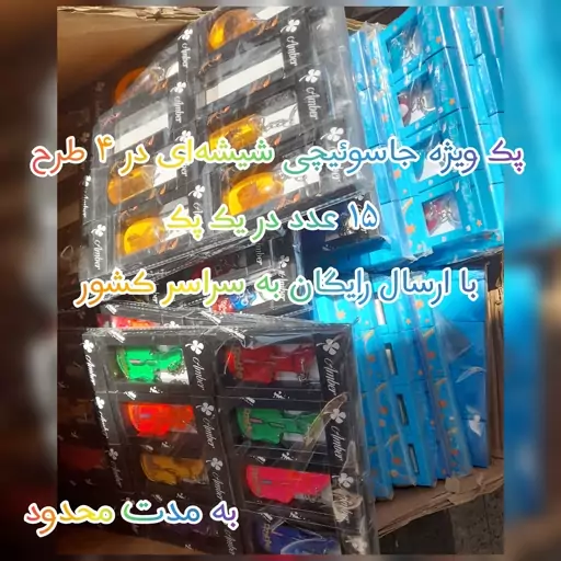 جاکلیدی و جاسوئیچی شیشه ای حشرات ،خرسی،قلبی و طرح فرند 